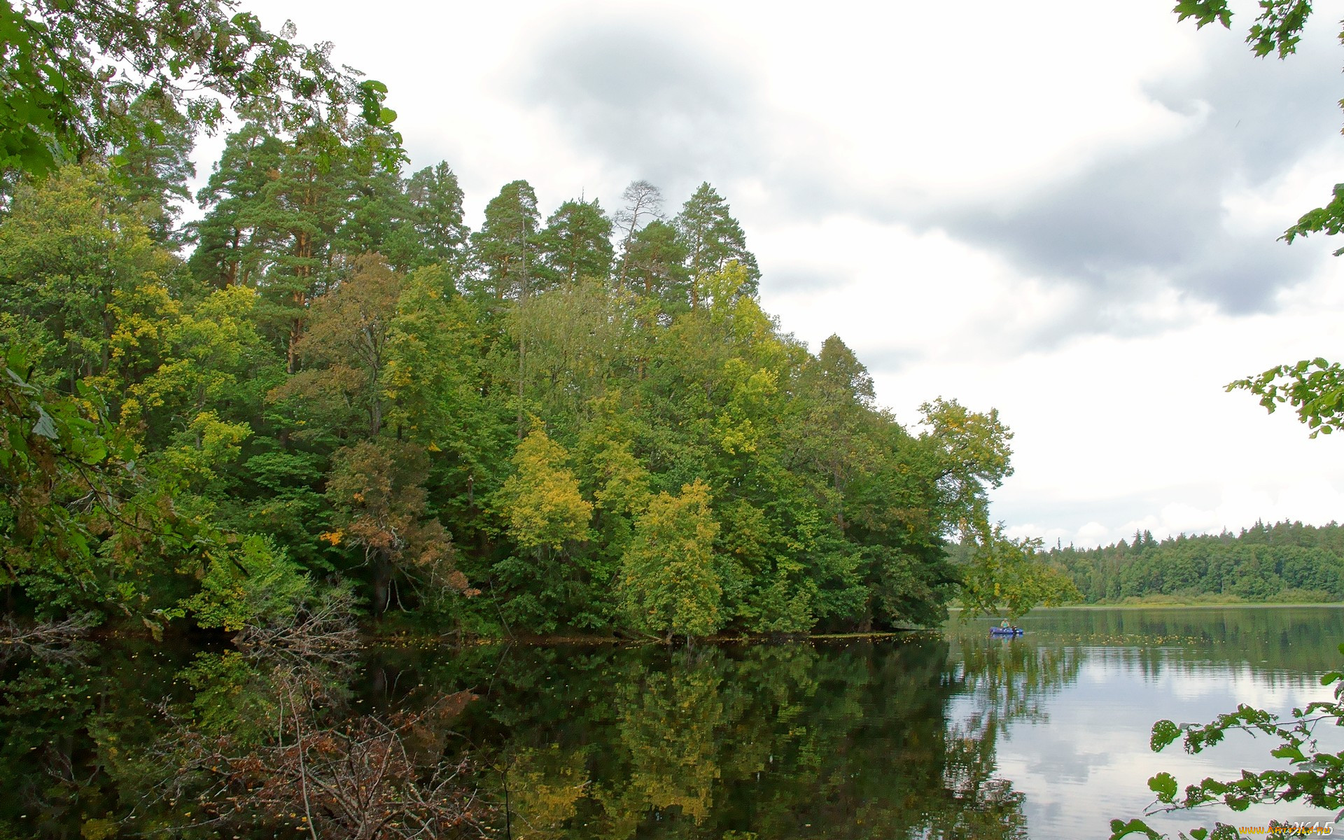 Обои нижегородская область. Нижегородский край. Разнообразие природы Нижегородского края. Торжок Лесное Лесное озеро Борисцево.